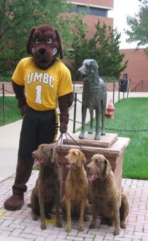 EDUCO - University of Maryland - Baltimore County